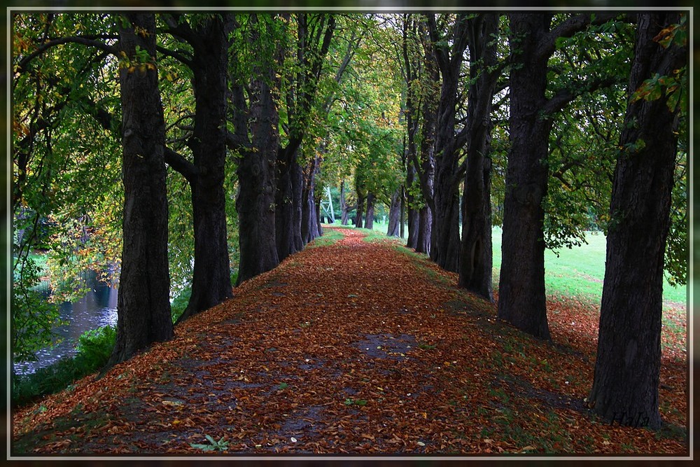 Weg am Wasserschloss Kemnade,,,,