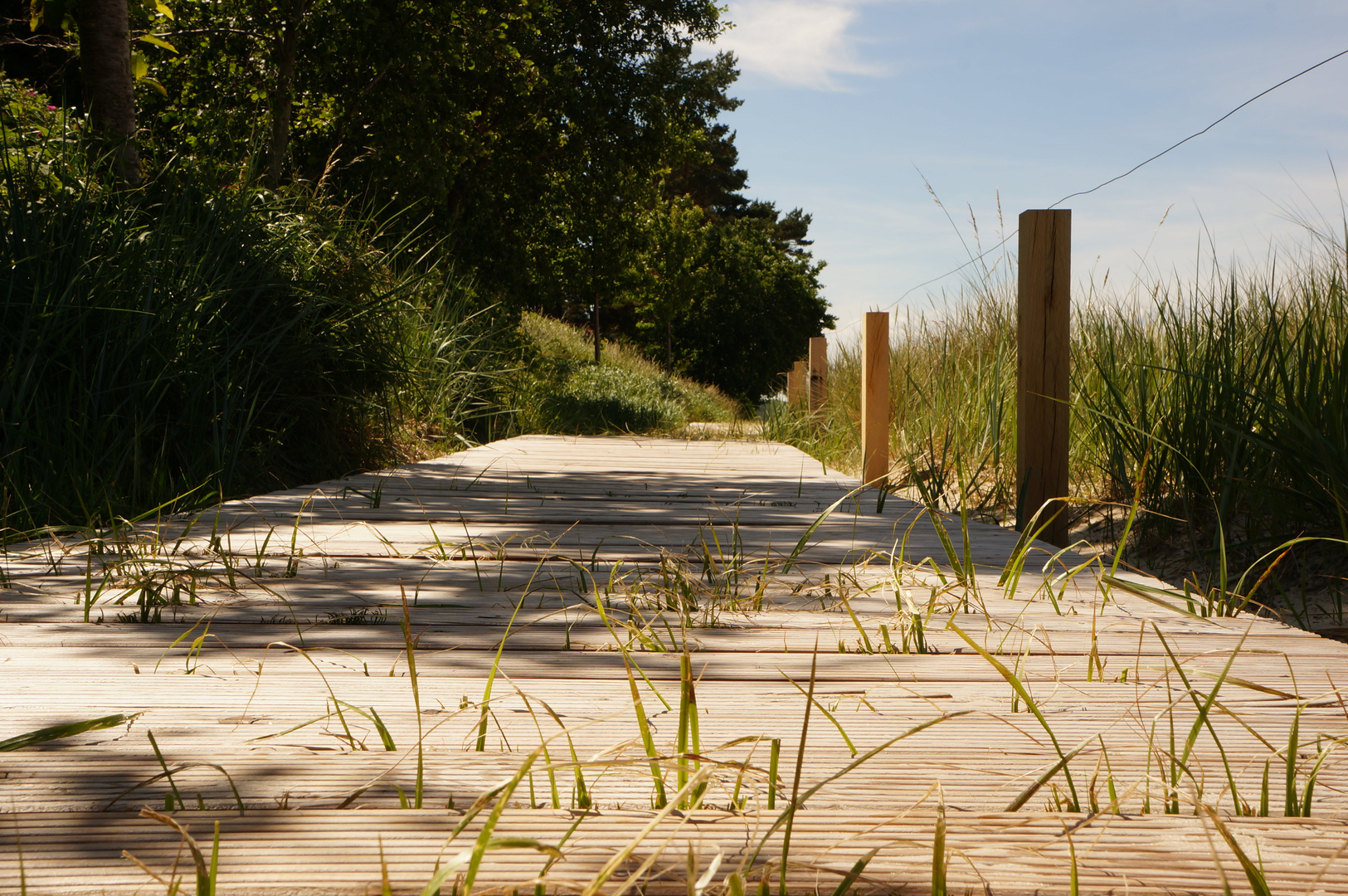 Weg an den Dünen