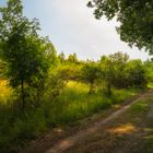 Weg an der Kirchenwiese