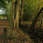 Weg an der Klostermauer