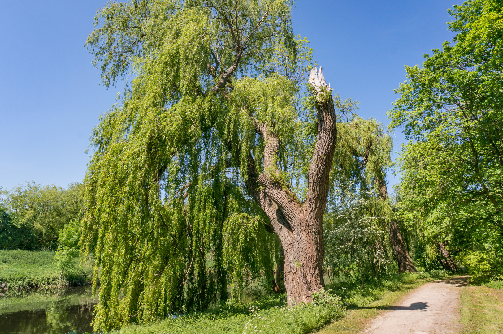 Weg an der Leine entlang - Hannover