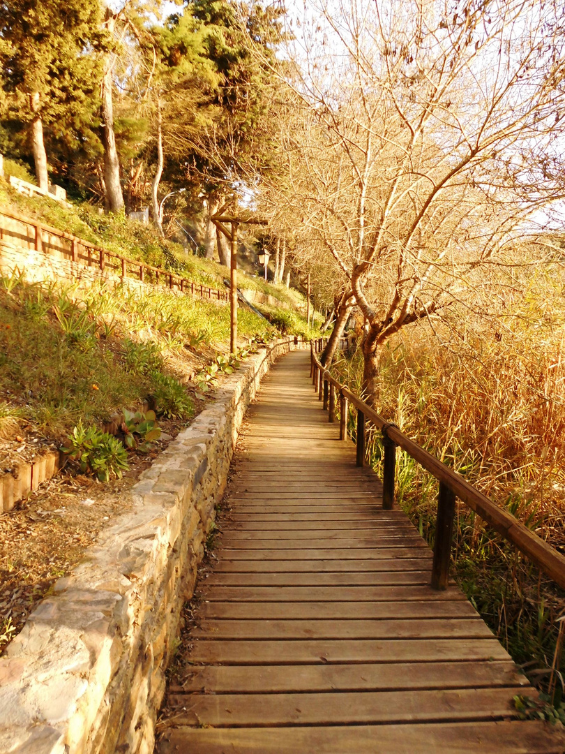 Weg an der Mira bei Odemira, Alentejo