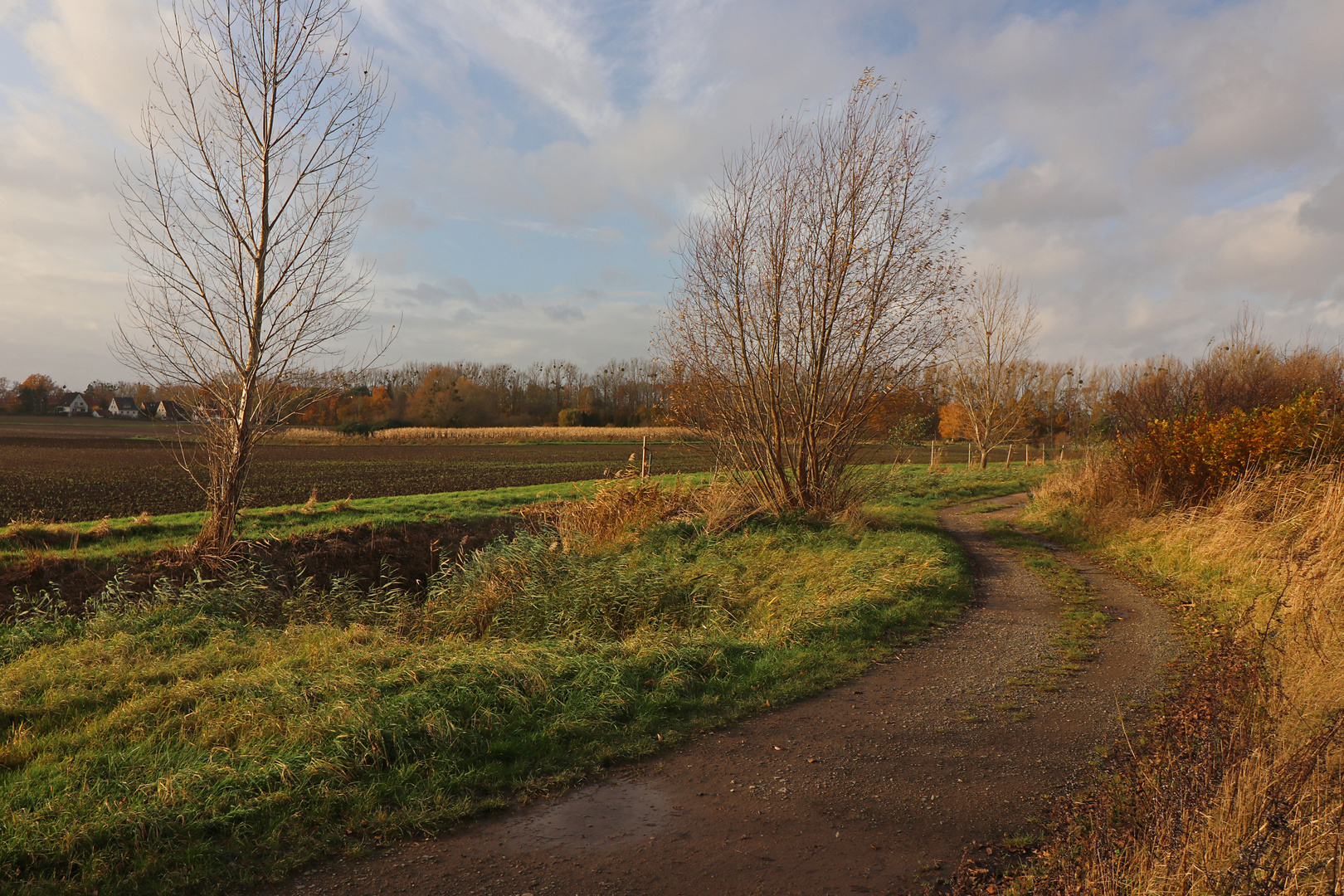 Weg an der Mittelriede