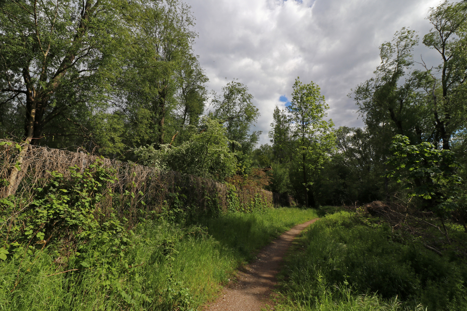 Weg an der Mönchswiese