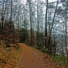 Weg an der Ronsdorfer Talsperre