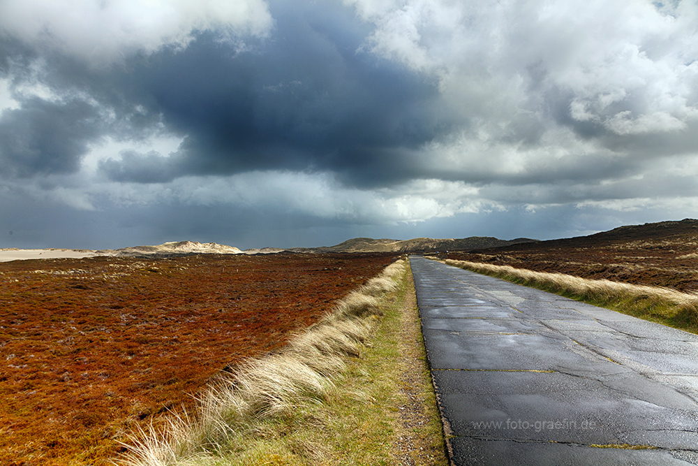 Weg an der Wanderdüne