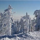 Weg auf den Brocken