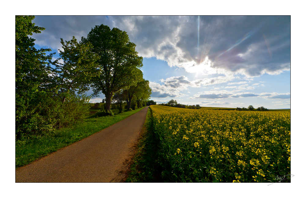 [...Weg auf den Ochsenberg...]