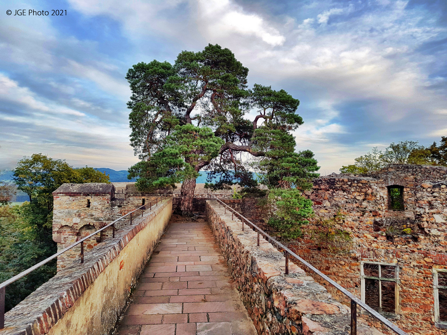 Weg auf der Burgmauer mit Baum