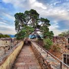 Weg auf der Burgmauer mit Baum