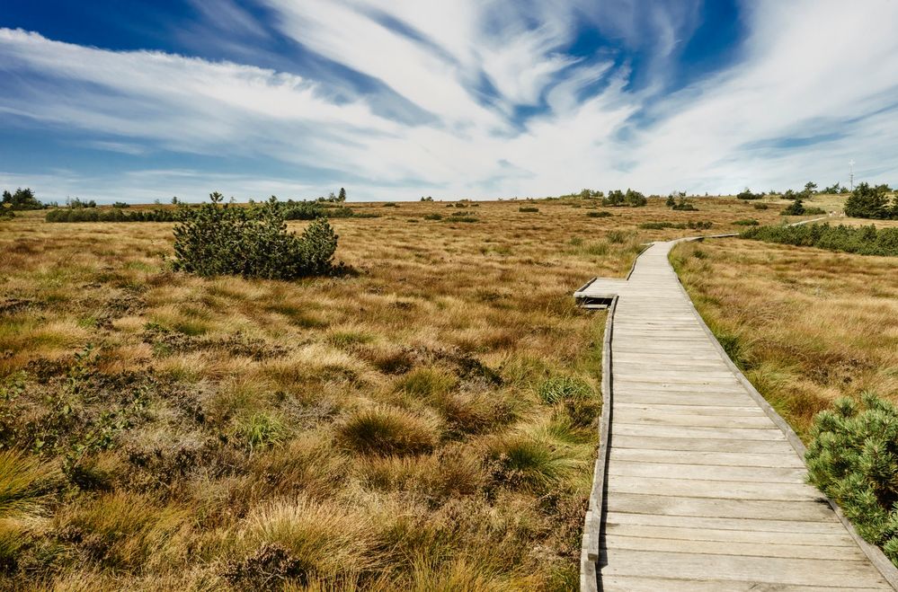 Weg auf der Hornisgrinde