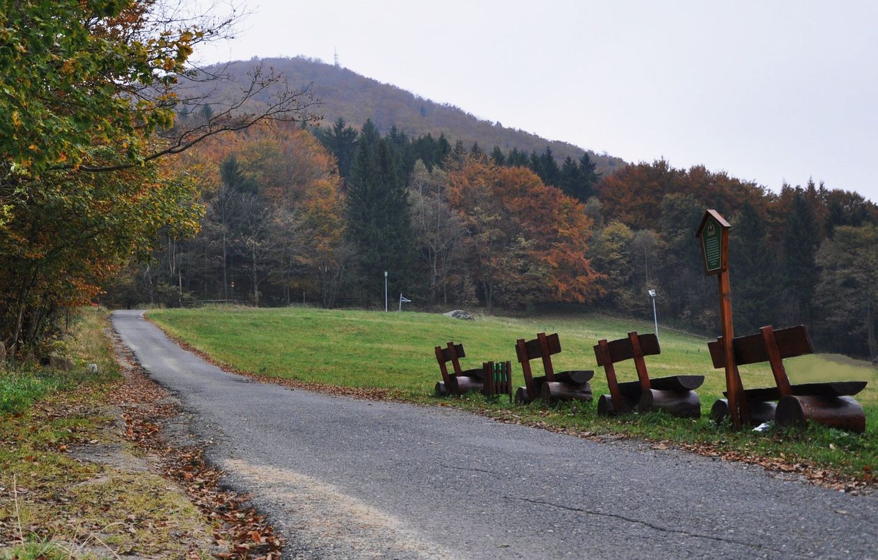 Weg auf die Lausche