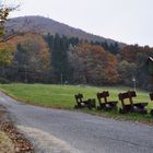 Weg auf die Lausche