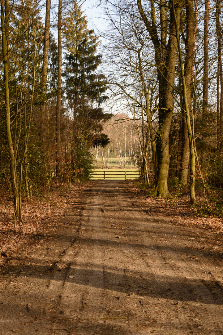 Weg auf die Wiese