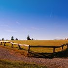 Weg auf Feldberg