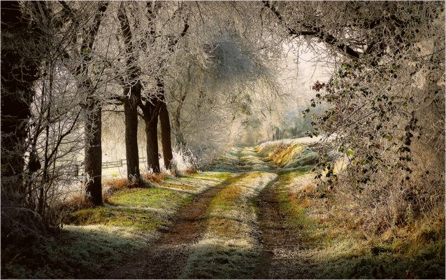 Weg auf halber Höhe