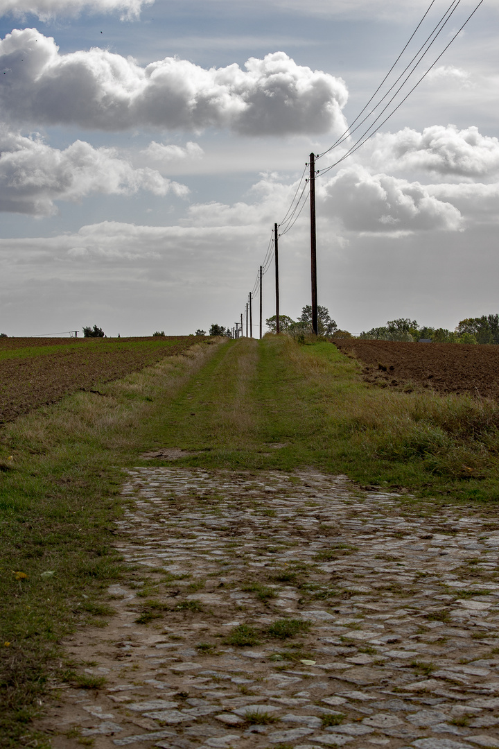 Weg auf Rügen