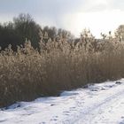 Weg aus dem Dorf - hier entlang?