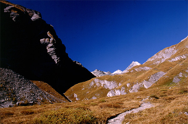 ...Weg aus dem Schatten in das Licht...