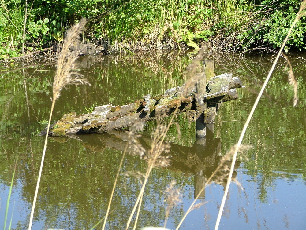 Weg aus dem wasser