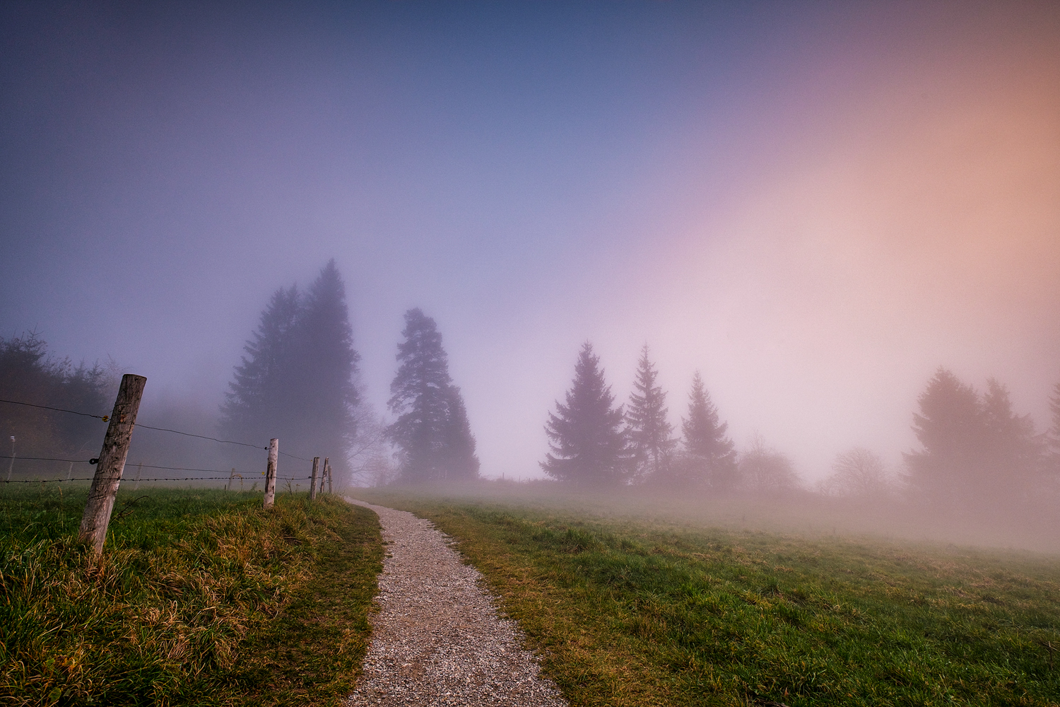 weg aus den nebel 