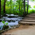 Weg bei den Plitvicer Seen
