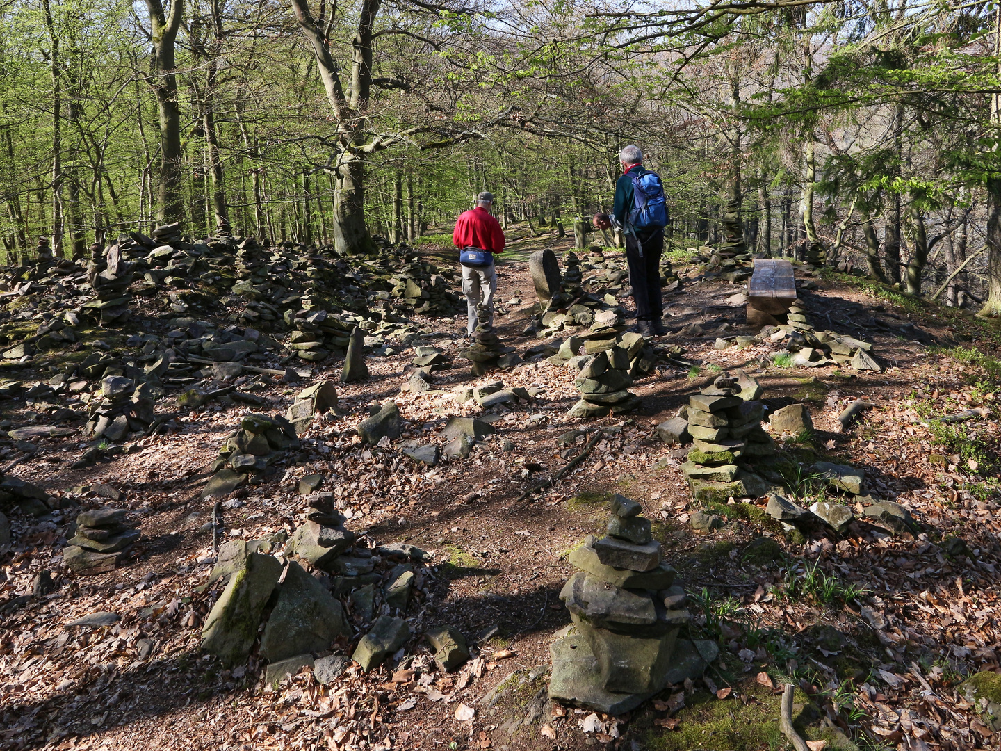 Weg bei der Hünselburg (2019_04_19_EOS 100D_4643_ji)