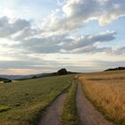 Weg bei Hammelbach im Odenwald