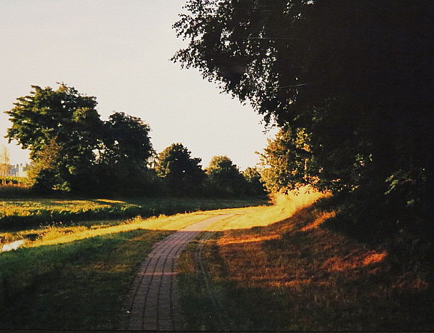 Weg bei Nordhorn