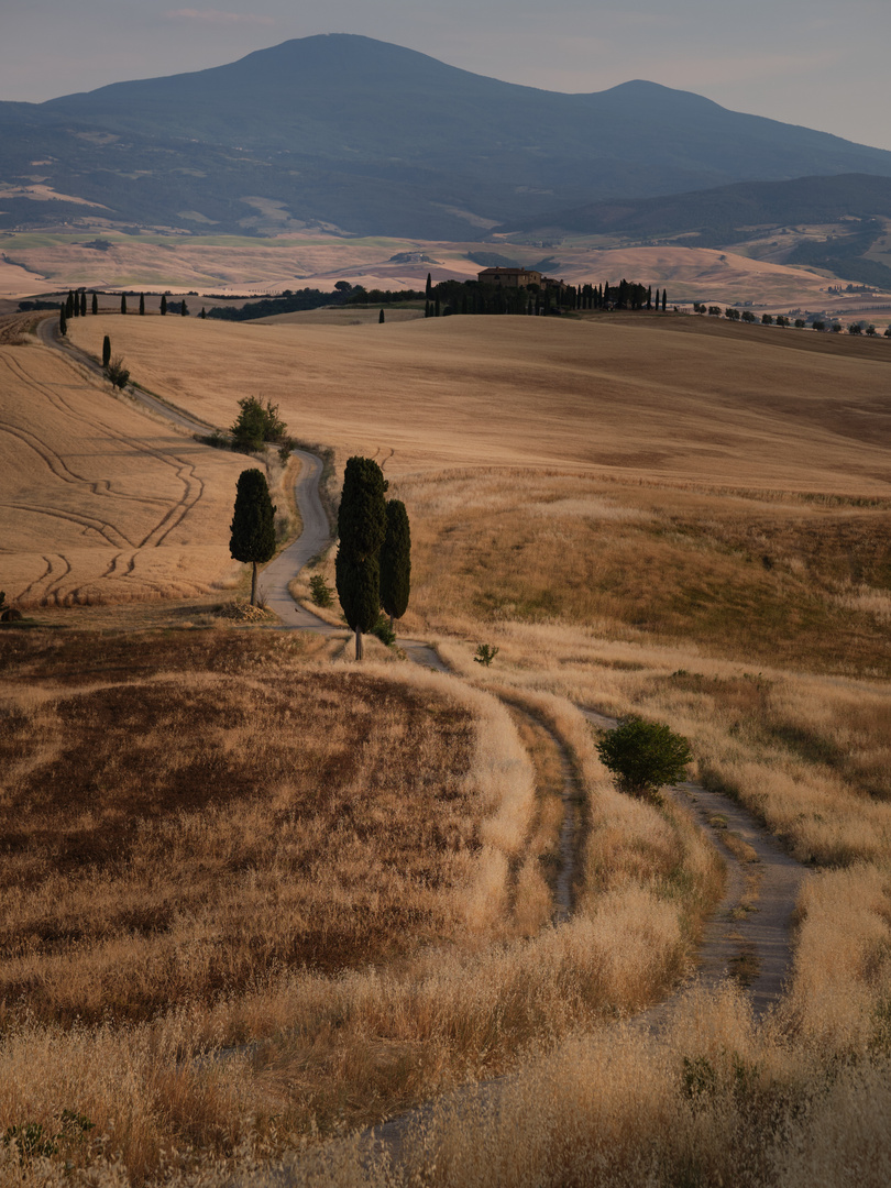 Weg bei Pienza