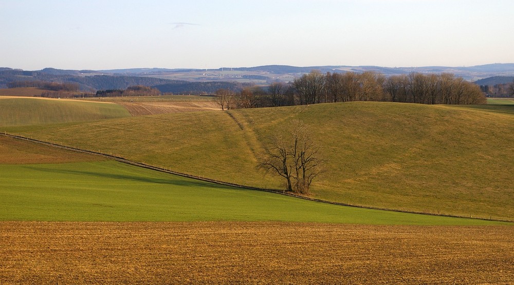 Weg der Erinnerung