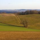 Weg der Erinnerung