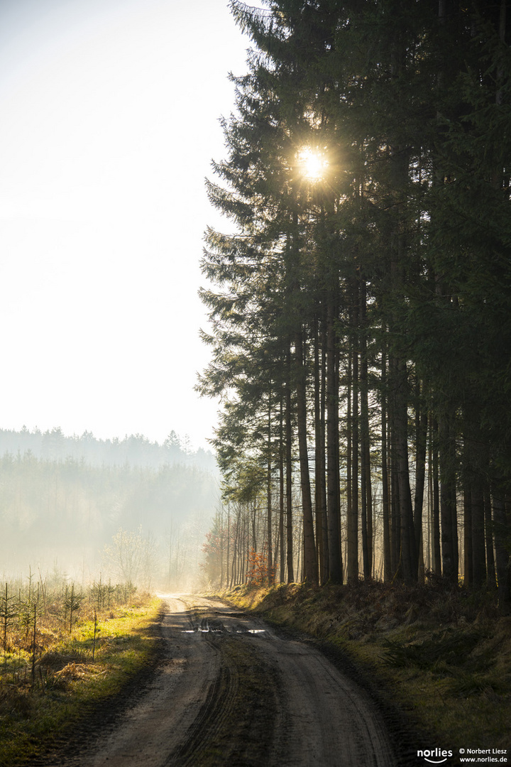 Weg der Erleuchtung