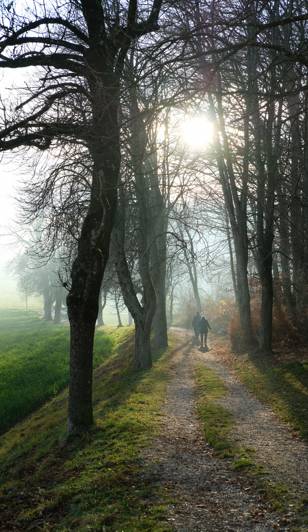 Weg der Erleuchtung