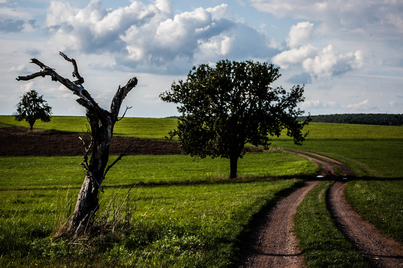 Weg des Lebens