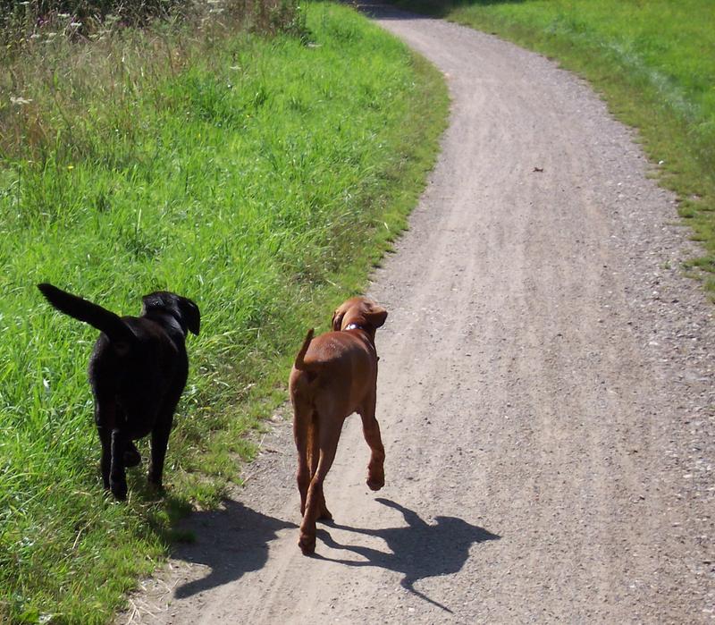 Weg des Lebens - Gemeinsam