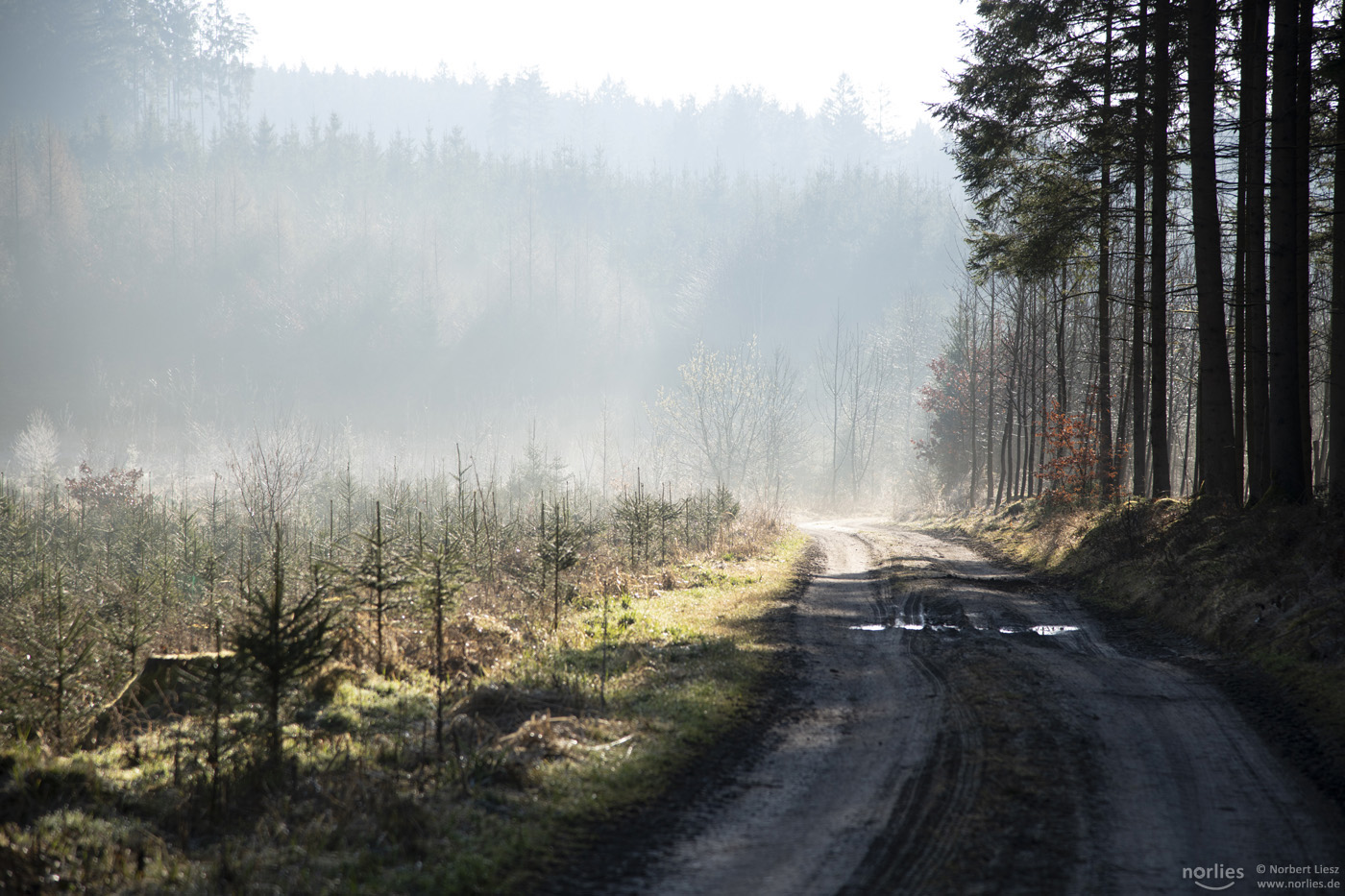 Weg des Lichtes