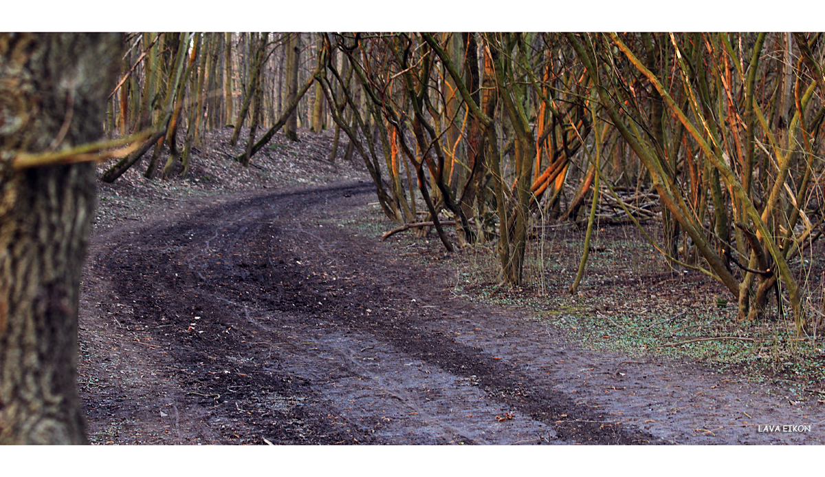 Weg des Schweigens