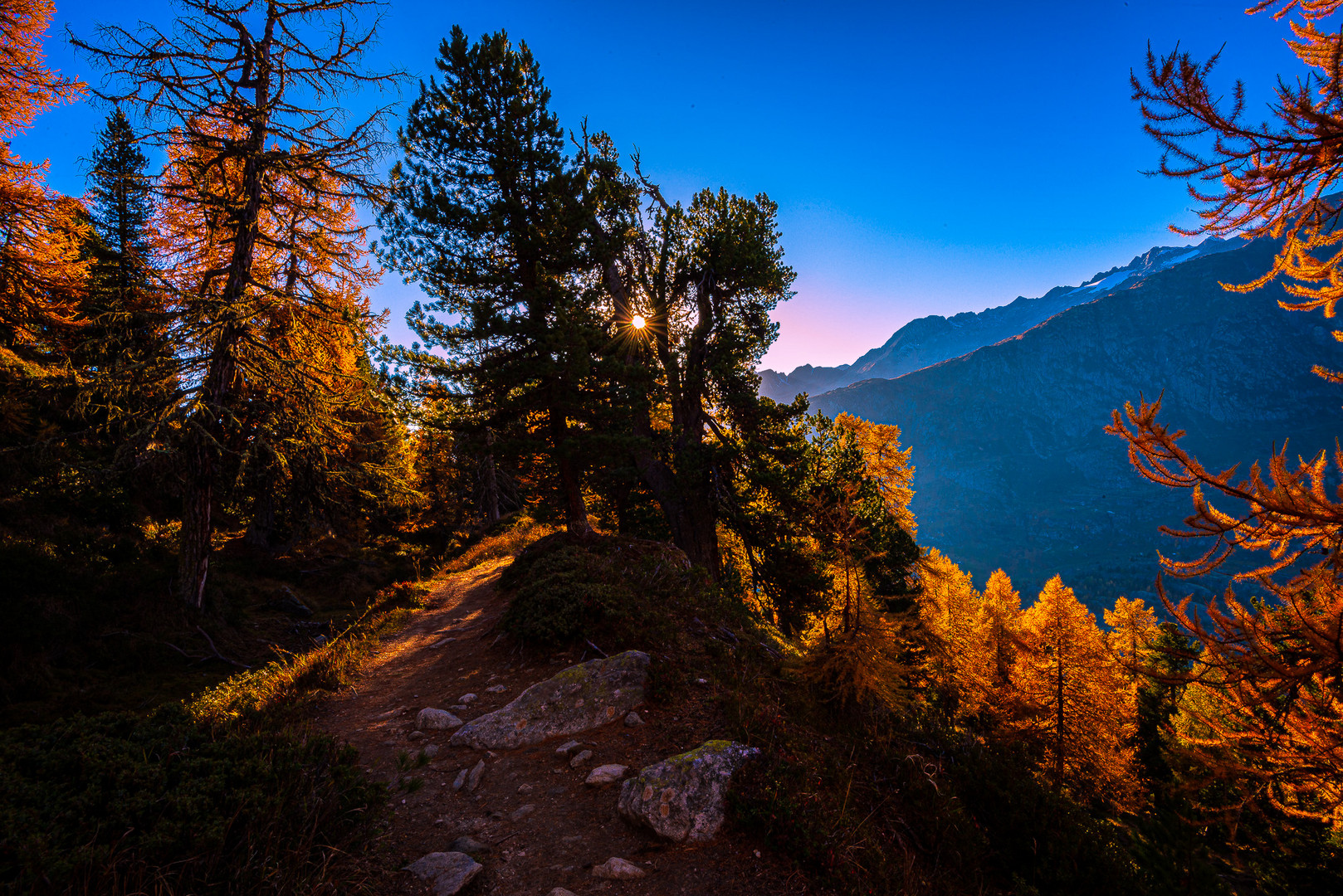 Weg durch Aletschwald