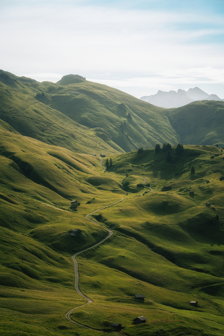 Weg durch das Grün