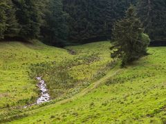 Weg durch das Hoppecketal