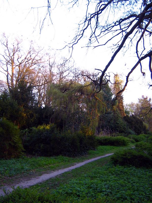 Weg durch den alten Friedhof