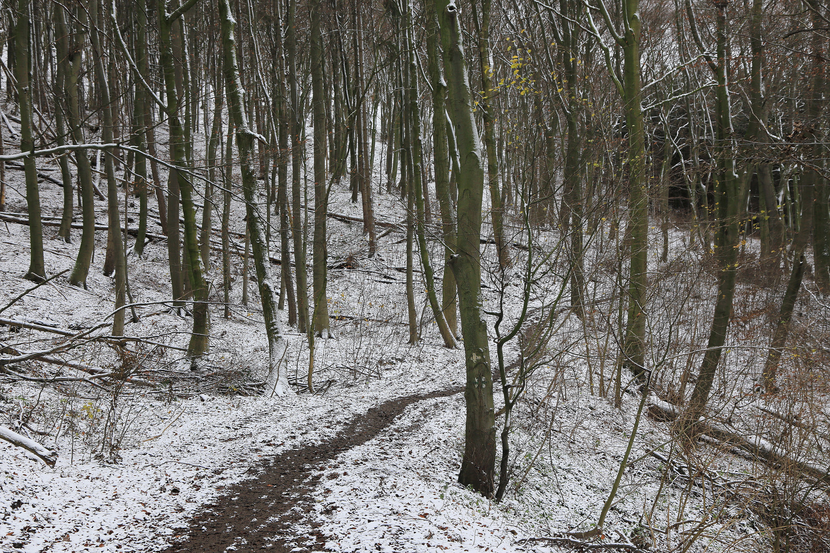 weg durch den deister