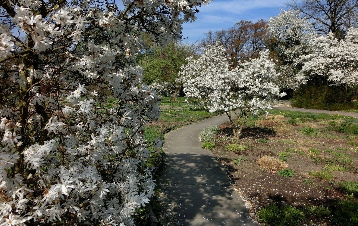 Weg durch den Frühling