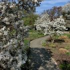 Weg durch den Frühling