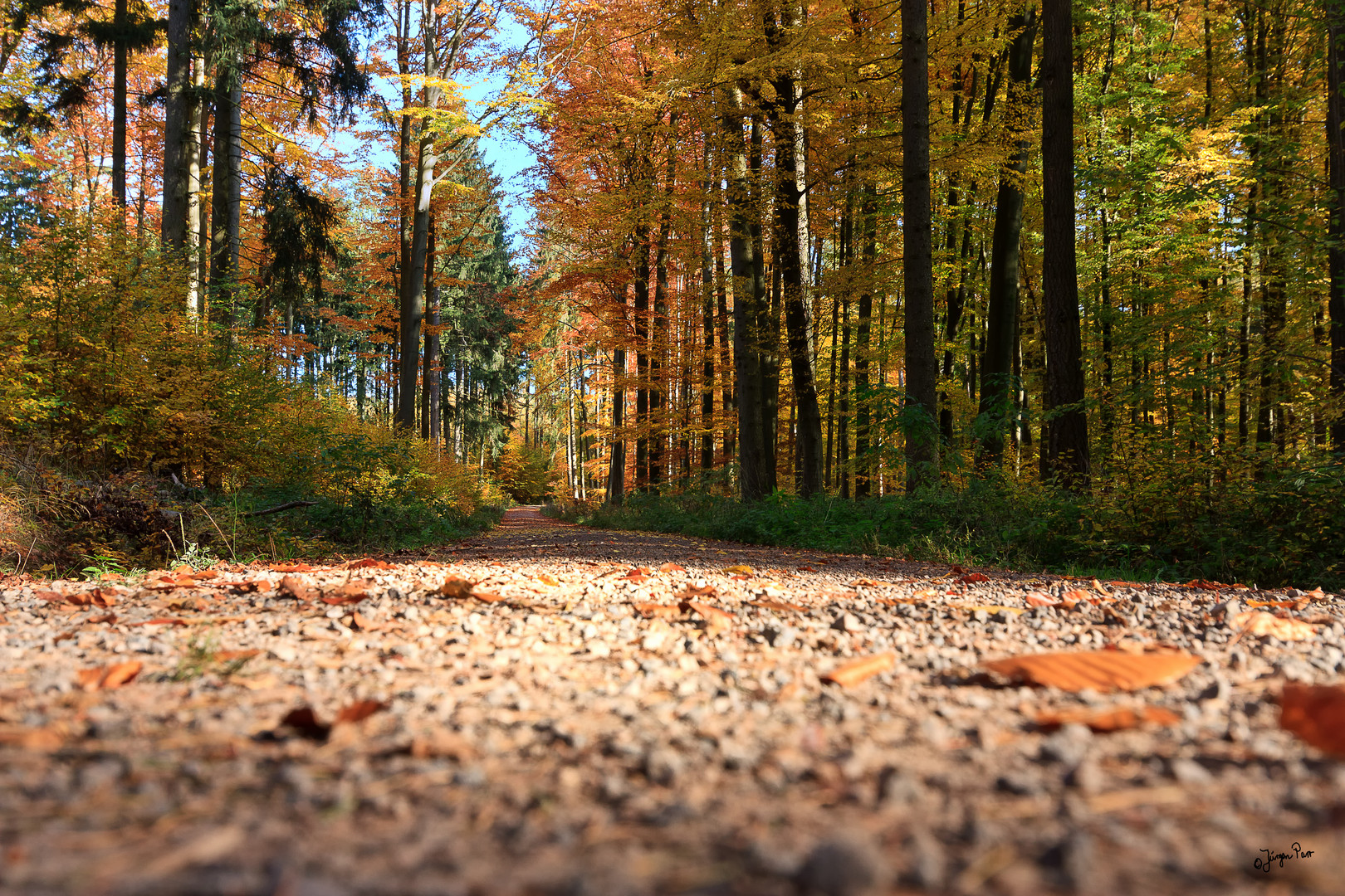 Weg durch den Herbst