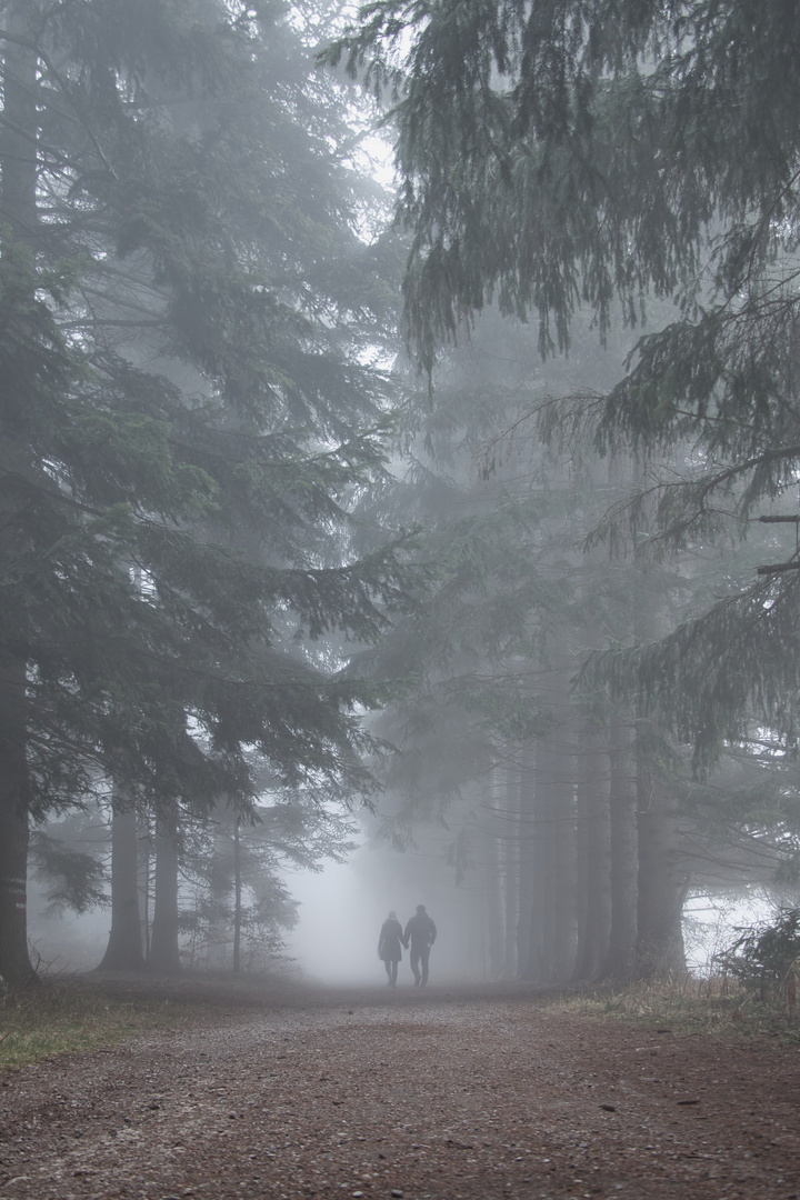 Weg durch den Herbstnebel