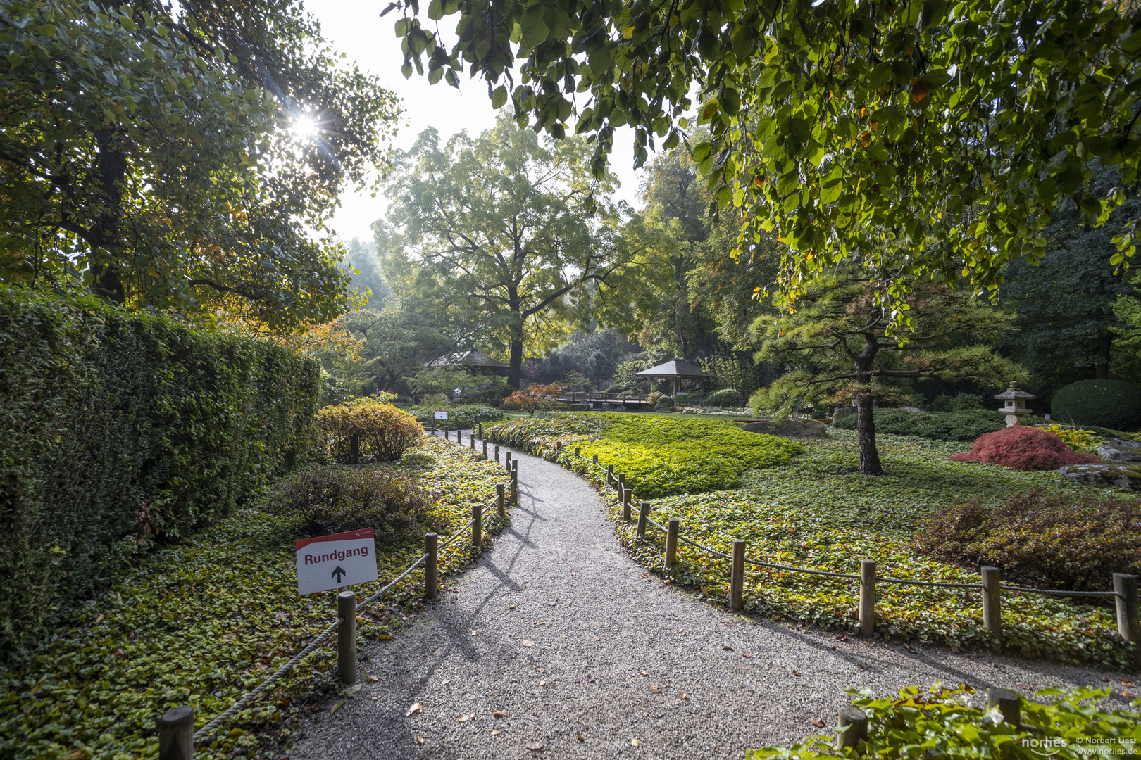 Weg durch den Japangarten