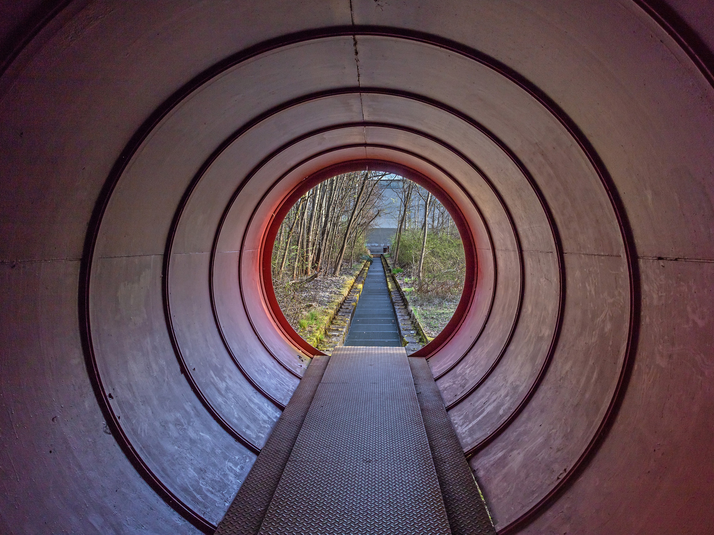 Weg durch den Moorgarten 