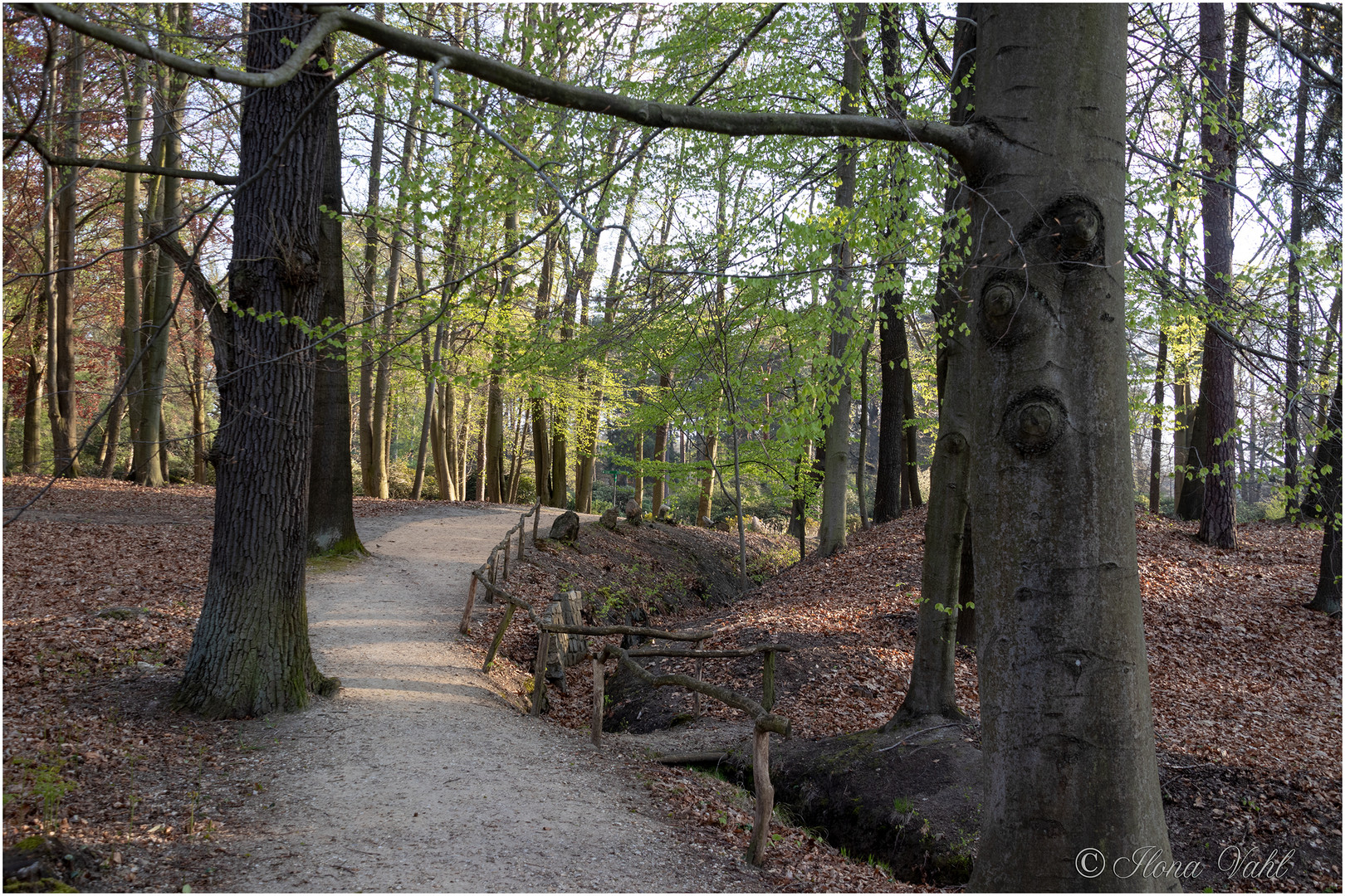 Weg durch den Park